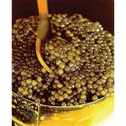 خاویار آسترا 50 گرمی رقم 2 شیلات ایران