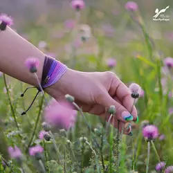 دستبند صلح و دوستی آمیتیس - فروشگاه اینترنتی گروه صلح و دوستی سرو