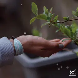 دستبند صلح و دوستی باران - فروشگاه اینترنتی گروه صلح و دوستی سرو