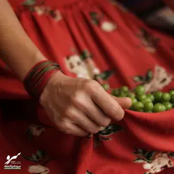 دستبند صلح و دوستی دشت لاله - فروشگاه اینترنتی گروه صلح و دوستی سرو