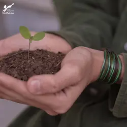 دستبند صلح و دوستی سرو - فروشگاه اینترنتی گروه صلح و دوستی سرو