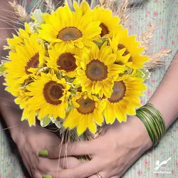 دستبند صلح و دوستی بهار - فروشگاه اینترنتی گروه صلح و دوستی سرو