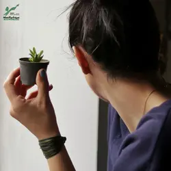 دستبند صلح و دوستی بیشه - فروشگاه اینترنتی گروه صلح و دوستی سرو