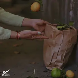 دستبند صلح و دوستی پاییز - فروشگاه اینترنتی گروه صلح و دوستی سرو