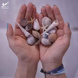 دستبند صلح و دوستی خلیج فارس - فروشگاه اینترنتی گروه صلح و دوستی سرو