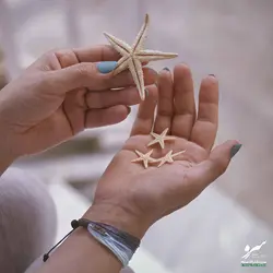 دستبند صلح و دوستی خلیج فارس - فروشگاه اینترنتی گروه صلح و دوستی سرو