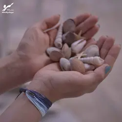 دستبند صلح و دوستی خلیج فارس - فروشگاه اینترنتی گروه صلح و دوستی سرو