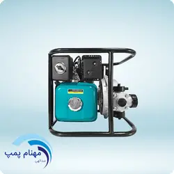 موتور پمپ ارتفاع بالا لئو مدل LGP20-H