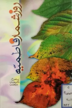 روز شمار فاطمیه _ دست دوم