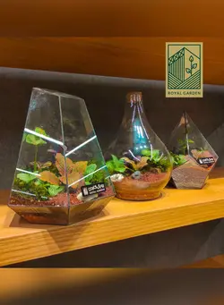 تراریوم شیشه ای