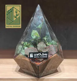 تراریوم شیشه ای