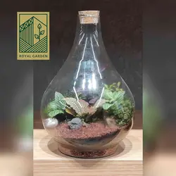 تراریوم شیشه ای