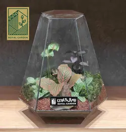 تراریوم شیشه ای