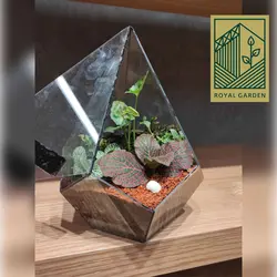 تراریوم شیشه ای