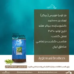 بذر لوبیا موریس(بیکر) bakker brothers - فروشگاه برادران اردستانی