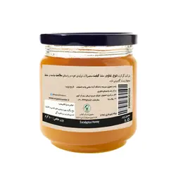 عسل اکالیپتوس آبگینه - زی سنتر- محصولات ارگانیک - محصولات آبگینه