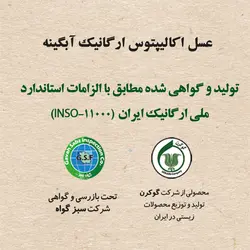 عسل اکالیپتوس آبگینه - زی سنتر- محصولات ارگانیک - محصولات آبگینه