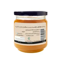عسل خارشتر آبگینه - زی سنتر - محصولات ارگانیک - عسل ارگانیک آبگینه
