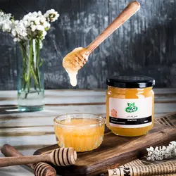 عسل خارشتر آبگینه - زی سنتر - محصولات ارگانیک - عسل ارگانیک آبگینه