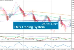 سیستم معاملاتی TMS Trading System - پازل
