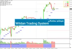 سیستم معاملاتی Wildan Trading System - پازل