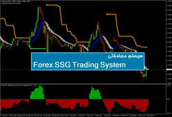 سیستم معاملاتی Forex SSG Trading System - پازل