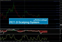 سیستم معاملاتی PET-D Scalping System - پازل