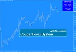 سیستم معاملاتی Cougar Forex System - پازل