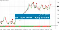 سیستم معاملاتی 4H Trader Forex Trading System - پازل