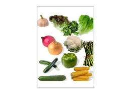 نگهداشت میوه جات و سبزی جات - پازل