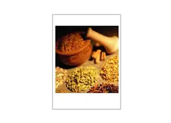 برسی علمی گیاه بابونه - پازل