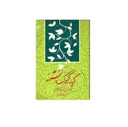 گیاه، کودک دانشمند - پازل