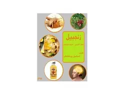 زنجبیل اعجاز آشپزی ادویه سلامتی - پازل