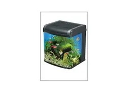 اصول نگهداری از آکواریوم - پازل