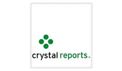 نحوه کار با کریستال ریپورت در سی شارپ - پازل