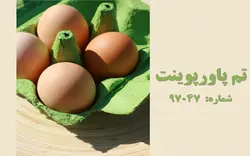 تم پاورپوینت شماره 97047 - پازل