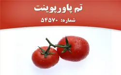 تم پاورپوینت شماره 54570 - پازل
