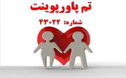 تم پاورپوینت شماره 43022 - پازل
