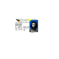 گواهینامه رانندگی امریکا - جورجیا - پازل