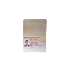 پاسپورت سنگاپور - پازل