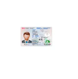 آیدی کارت کانادا - پازل