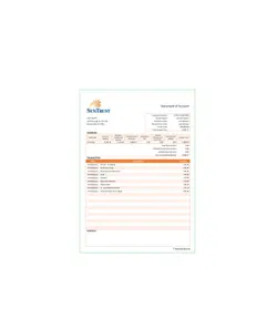 صورتحساب Sun Trust Bank - پازل