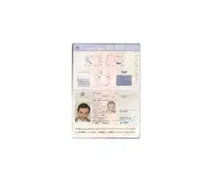 پاسپورت گرجستان - پازل