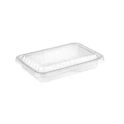 ظرف ترموفرمينگ یکبار مصرف كوچک عمق 5