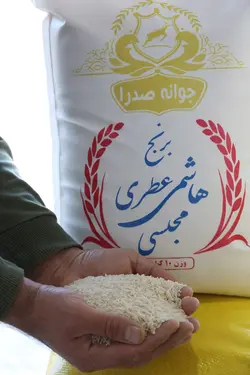 ❤برنج هاشمی عطری مجلسی(کیسه 40 کیلویی)❤ - جوانه صدرا