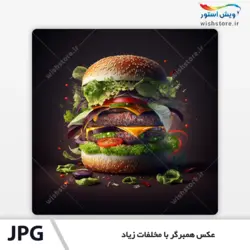 عکس همبرگر با مخلفات زیاد
