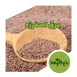 عرق اسفرزه