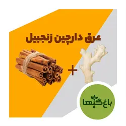 دارچین و زنجبیل