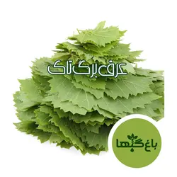 عرق برگ تاک ( مو )