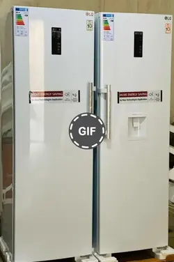 یخچال دوقلو 40فوت الجی مدل R401-R404 - نایاب مارک تومان&nbsp;۵۵,۰۰۰,۰۰۰